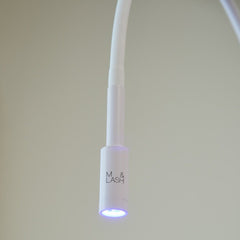 Led Lash Lamp