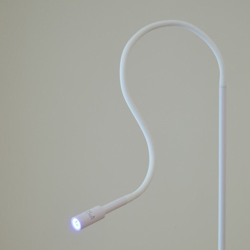 Led Lash Lamp